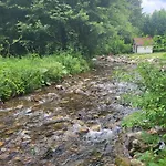 Dağ evi Dom Pod Chopkom & Wellness Bystrá