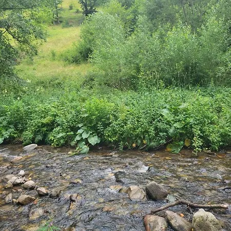 Dom Pod Chopkom&wellness Chalet Bystrá